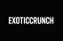 EXOTICCRUNCH White on Black Logo